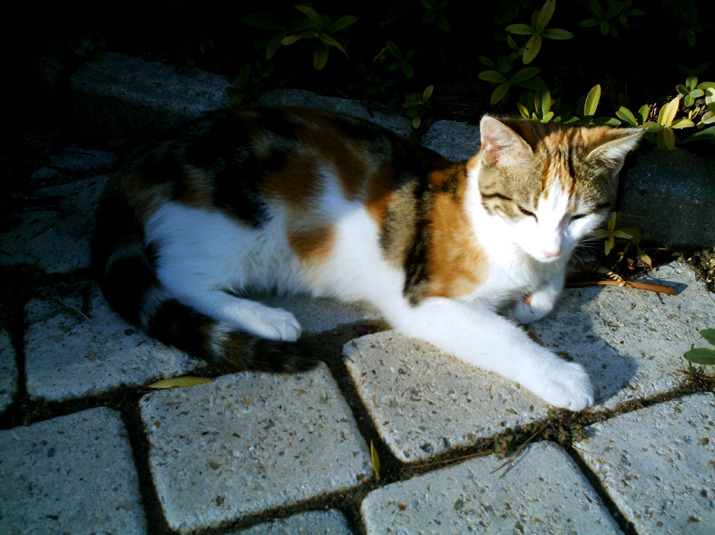 Caramel 09-04 010.jpg